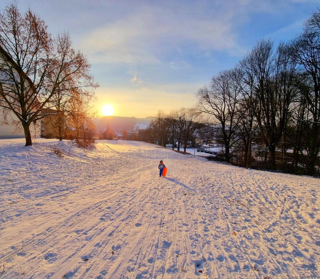 Ferienhaeuser Olbernhau Erzgebirge Luaran gambar