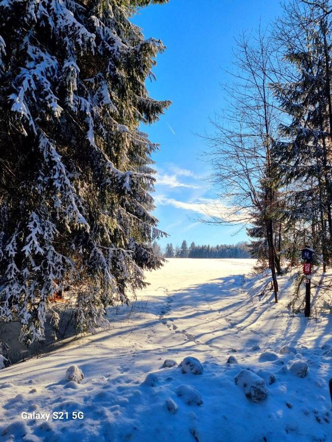 Ferienhaeuser Olbernhau Erzgebirge Luaran gambar