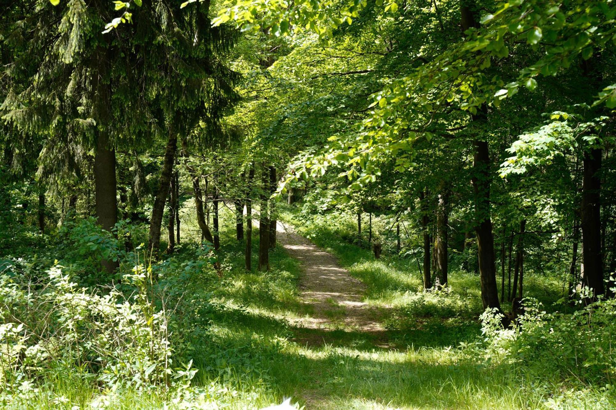 Ferienhaeuser Olbernhau Erzgebirge Luaran gambar